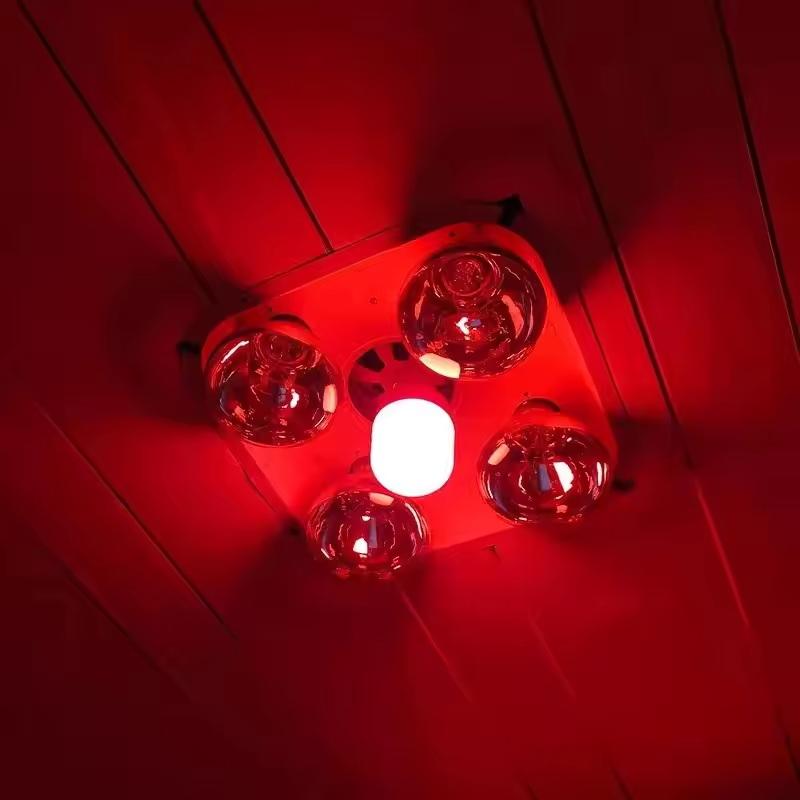 Outdoor Lighting Solar - Nueva Bombilla LED Roja de Alta