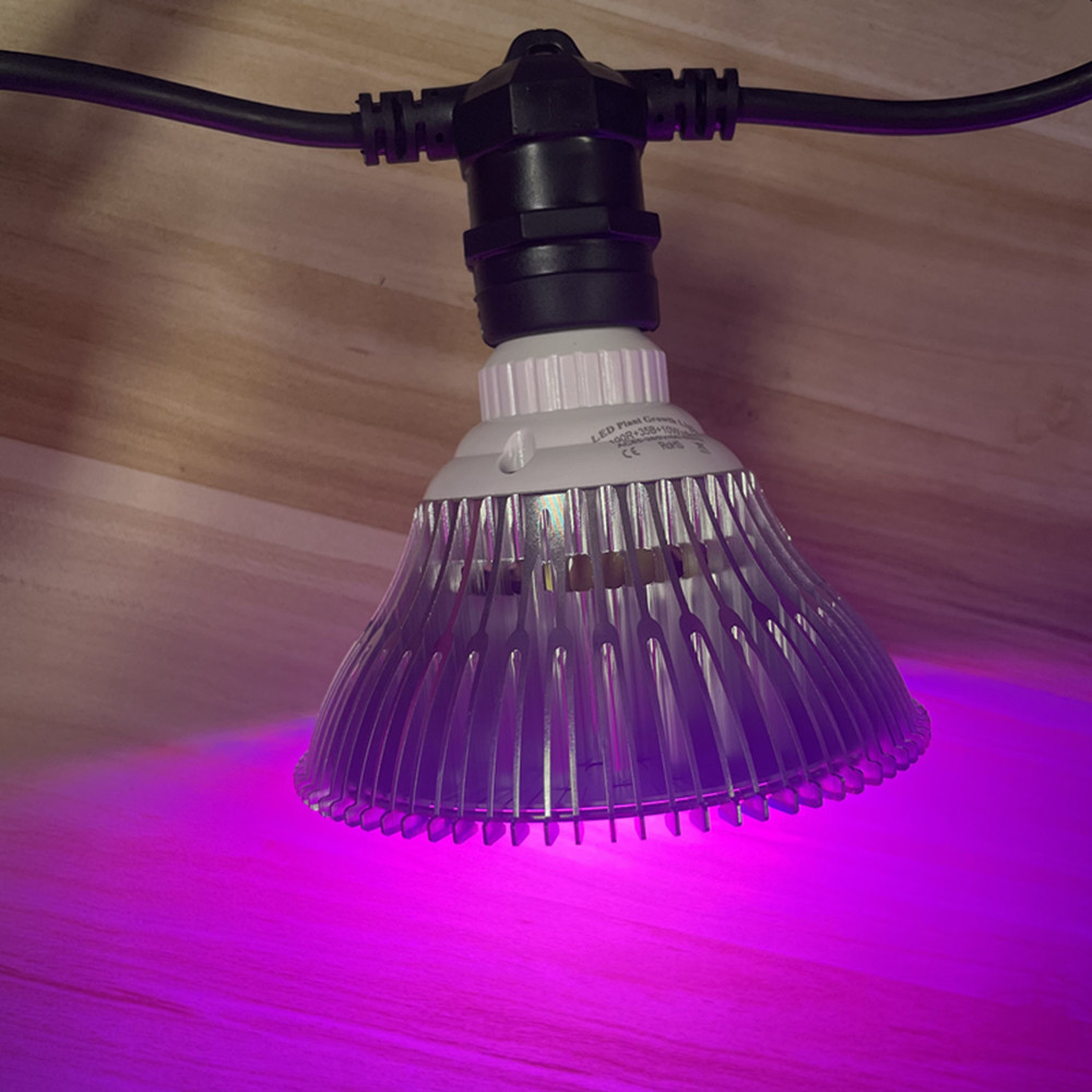 Cadena de luces LED de 10M, re - Outdoor Lighting Permanent reseña y precio