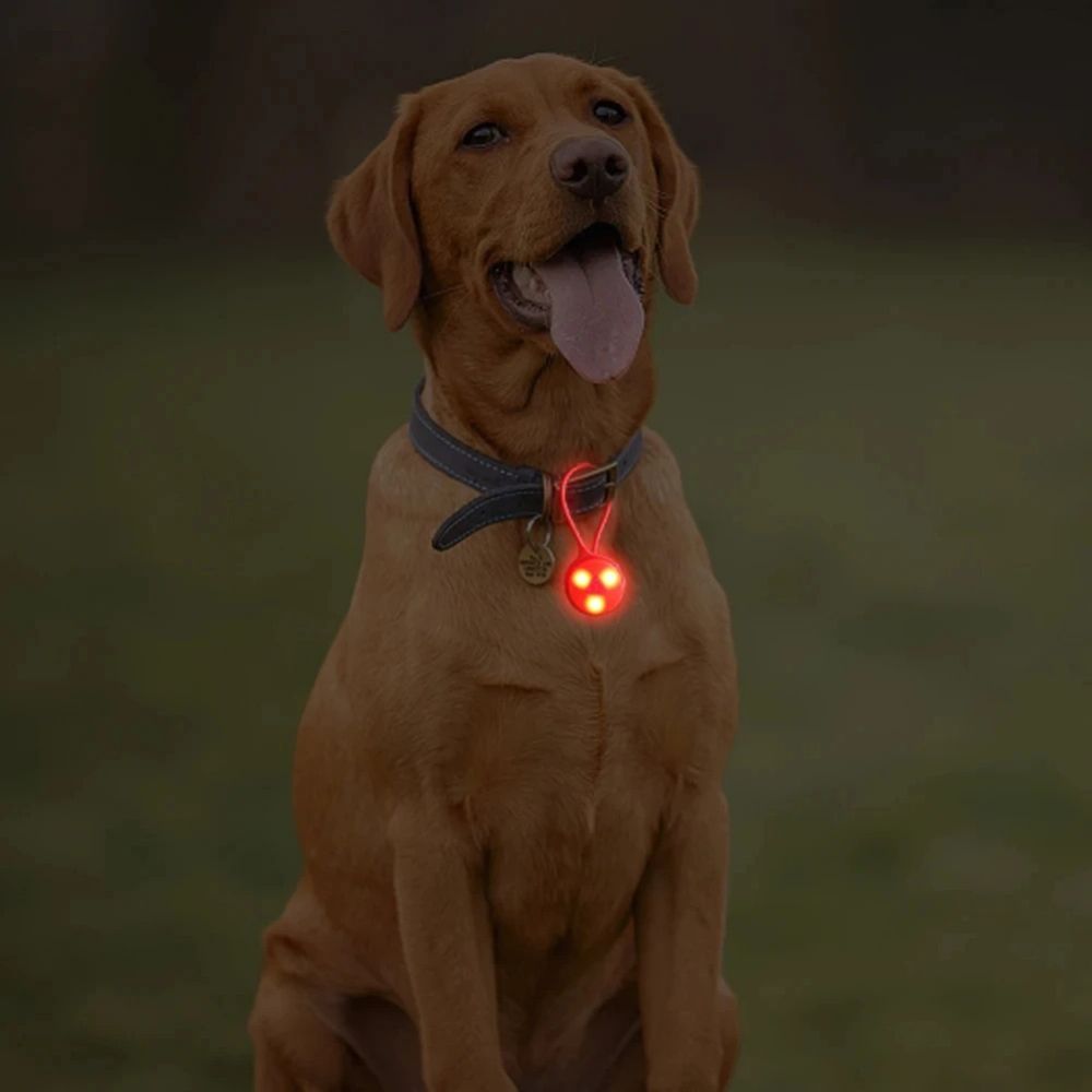 Luces LED de Silicona para Moc - Outdoor Lighting Led Strip reseña y precio