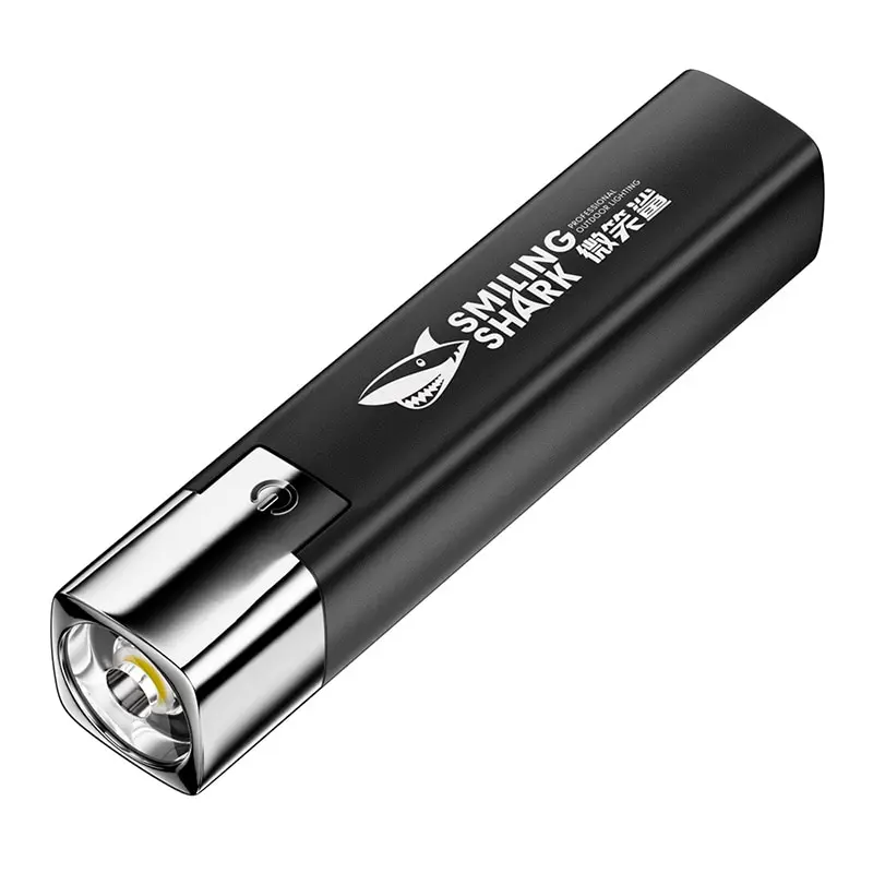 Linterna LED Súper Brillante R - Outdoor Lighting Permanent reseña y precio